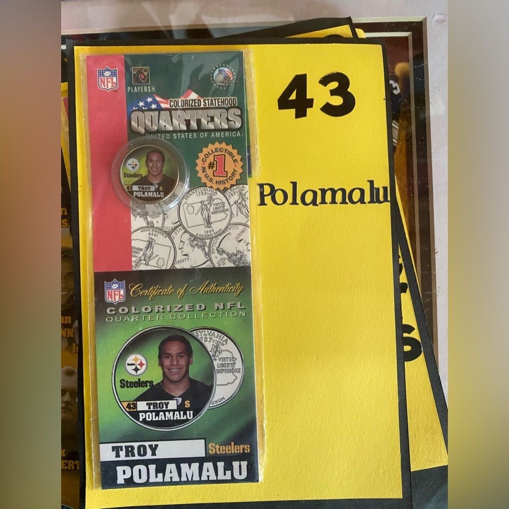 🌻NFL Colorized Statehood Quarters Troy Polamalu Pittsburgh Steelers 43